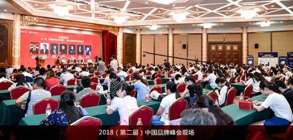 喜讯丨巅峰国际荣膺中国（行业）最具投资价值品牌