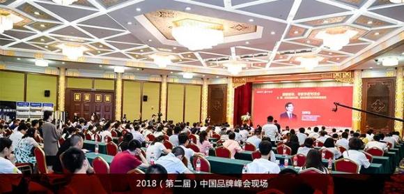 喜讯丨巅峰国际荣膺中国（行业）最具投资价值品牌