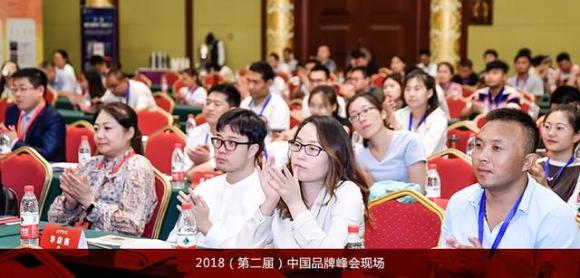 喜讯丨巅峰国际荣膺中国（行业）最具投资价值品牌