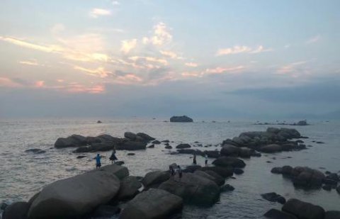 巅峰国际股权激励：初创企业股权激励如何做？